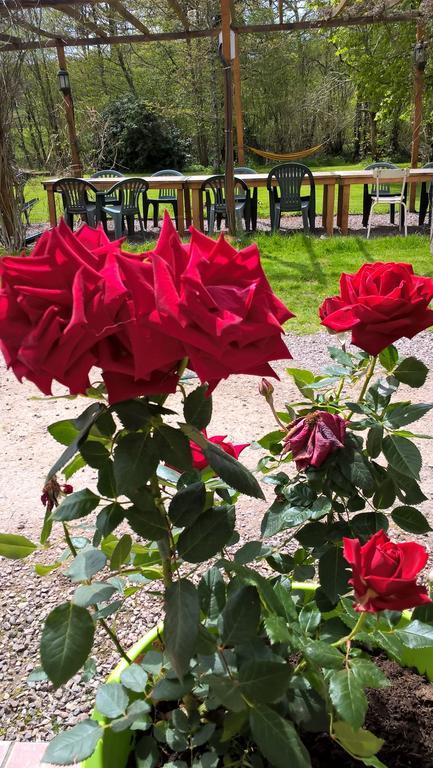 Bed and Breakfast Le Moulin De Douzy Saint-Christophe  Esterno foto